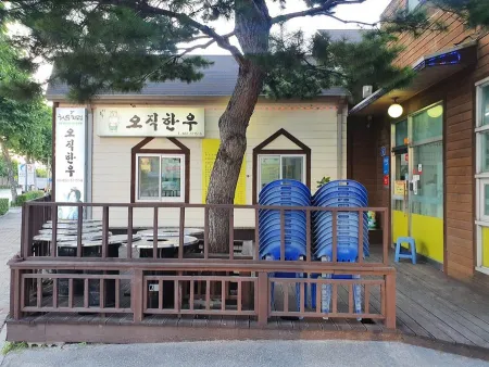 오직한우