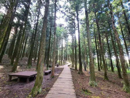 Jeju Jeolmul Natural Recreation Forest
