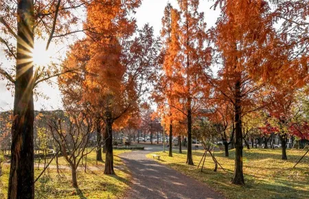Hosan Park