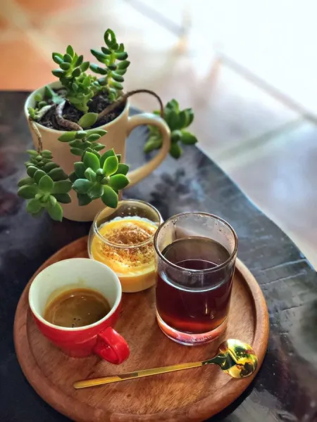 CAFE 29