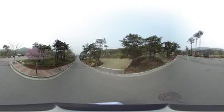 Yongin Natural Recreation Forest