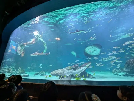 Daegu Aquarium