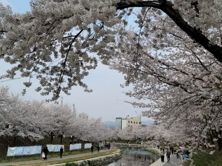 Wonseongcheon