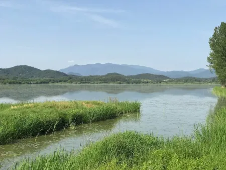 우포늪