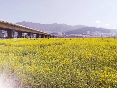 Gupo Bridge
