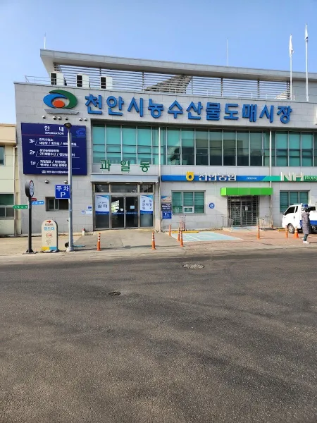 天安市農水產物批發市場