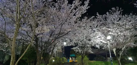 봉선2지구어린이공원