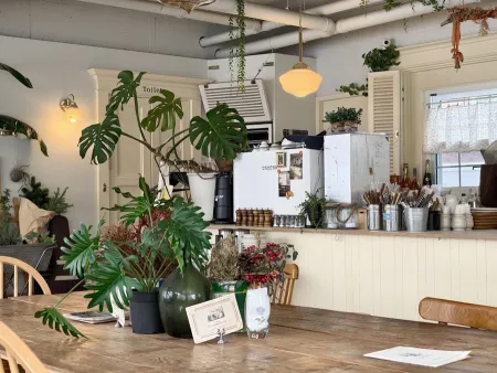 Cafe come and see me