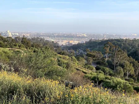 Elysian Park