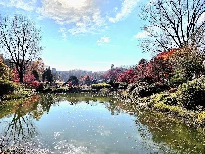서운동산