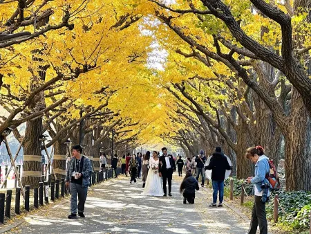 Meiji Jingu Gaien