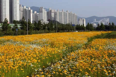 Hwamyeong Ecological Park