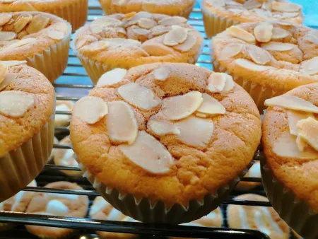 HONG Chiffon Cupcake