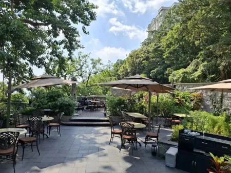 더피크룩아웃