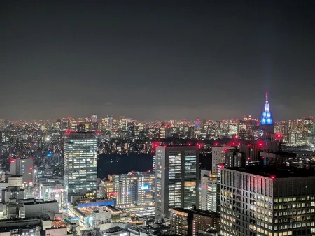 South Observation Deck, Tokyo Metropolitan Government Building No. 1