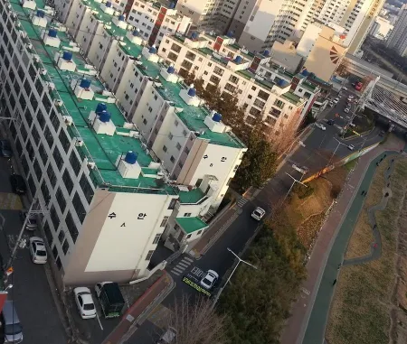 Dongnae Owl
