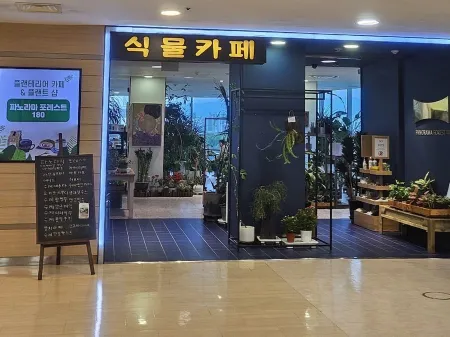 Panorama Forest 180