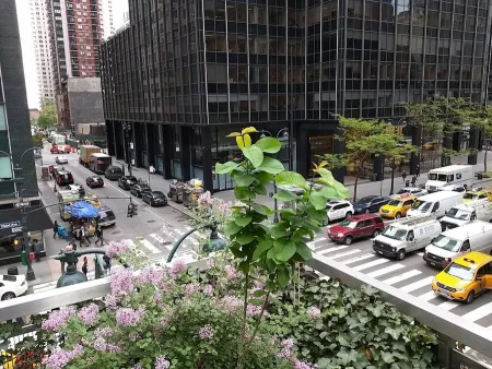 Rooftop Park