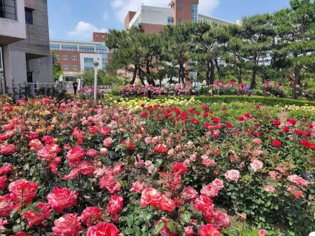 조선대학교 장미원