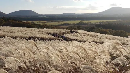 Sangumburi Crater