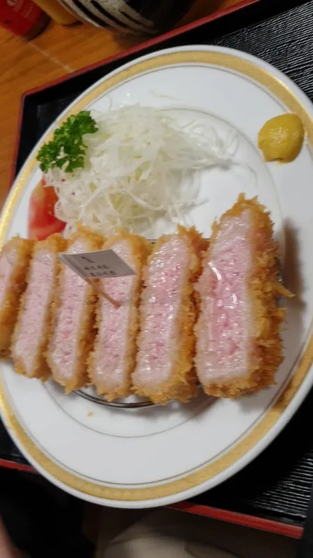 Tonshou PNU