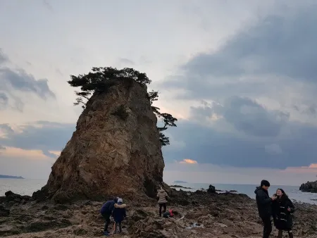 할아비 바위