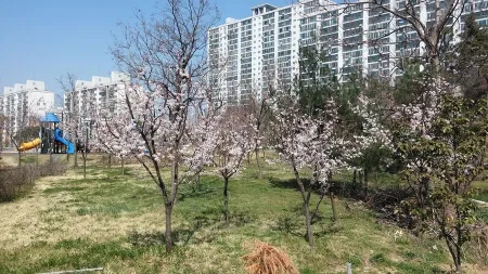 유안근린공원