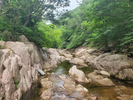 National Daeunsan Healing Forest