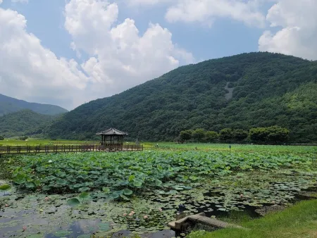 상리연꽃공원