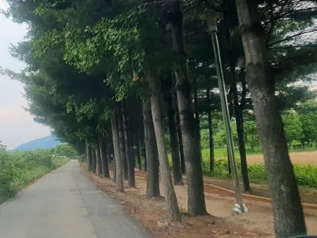 Deoksan Oncheon