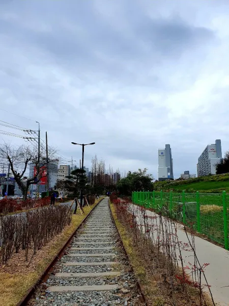 포항 철길숲