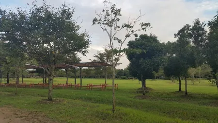 Nakdonggang Estuary Migratory Bird Sanctuary