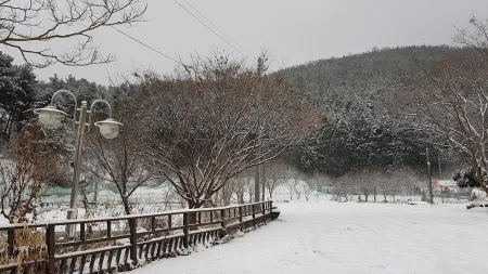 Ajung Cheryeon Park