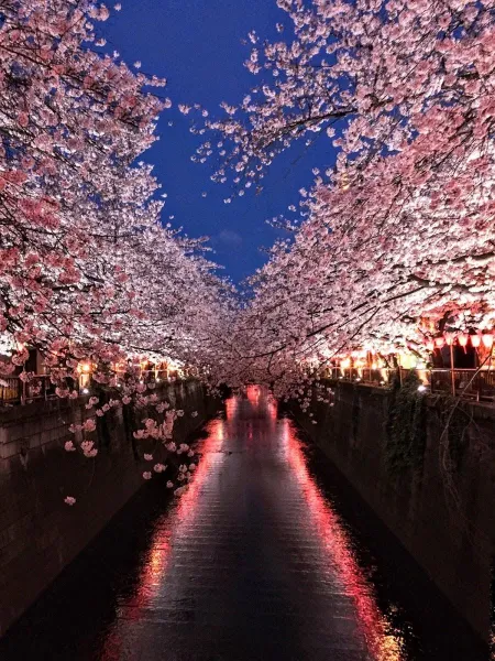 Meguro River Park