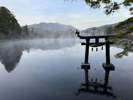 긴린코