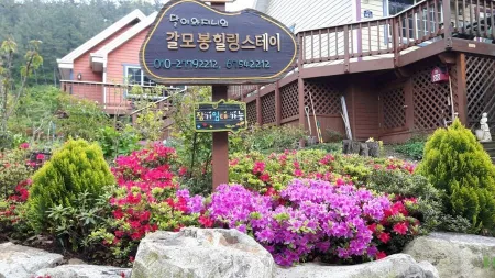 갈모봉 힐링스테이 펜션