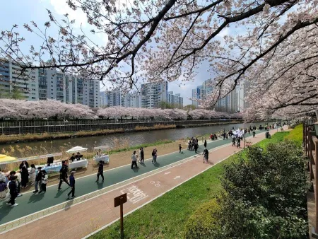Oncheoncheon Cafe Street