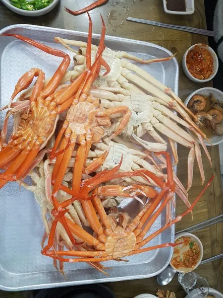 경주돼지국밥
