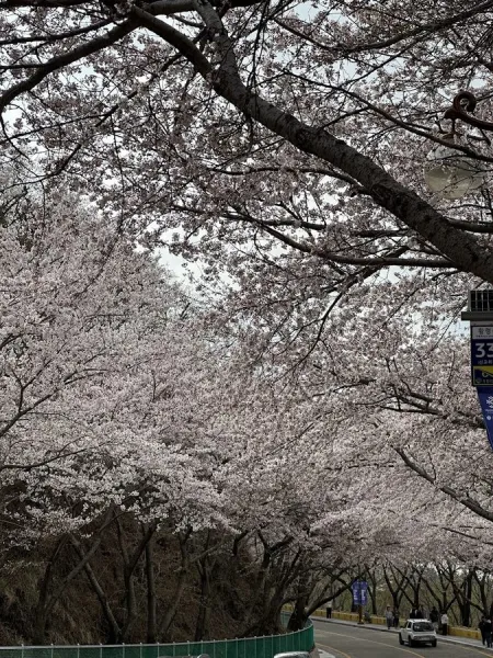 Hwangnyeongsan Doltap-gil