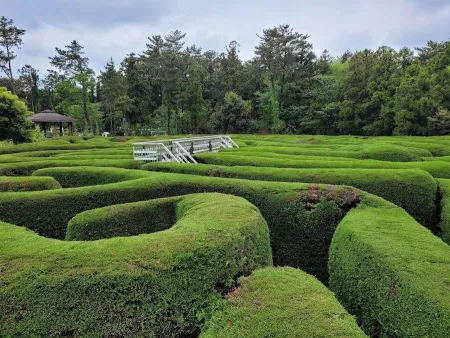 Gimnyeong Maze Park