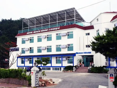 코게러지카페