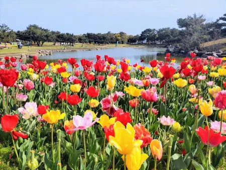 Uminonakamichi Seaside Park