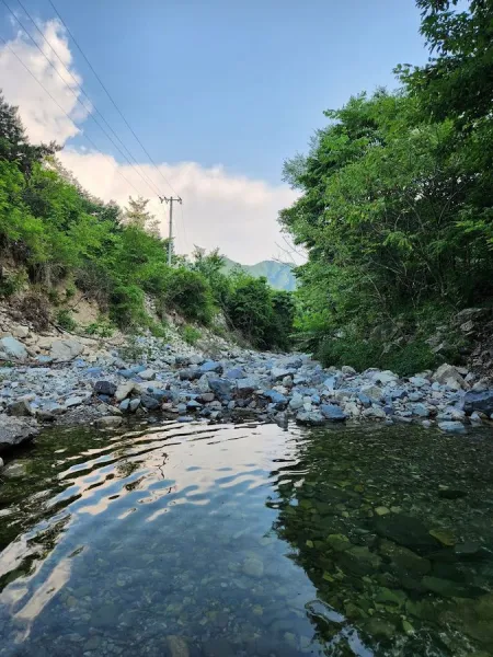 담터오지캠핑장