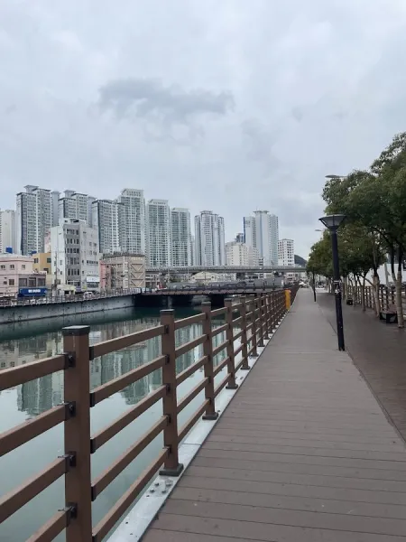 Dongcheon