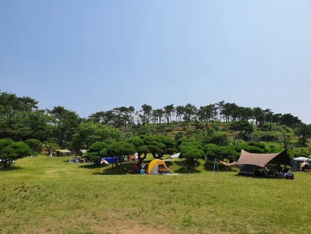 백양농원