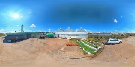 Four Seasons Healing Farm