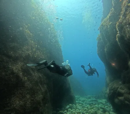 sumdive