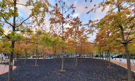 Gaya Gamgogae Park