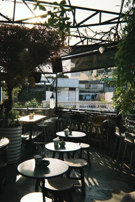 Wallflowers Café, Restaurant & Bar