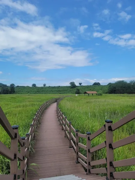 Dalseong Wetland